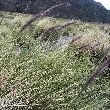 Domus Ligea Сasa de vacaciones Casino di Falcone