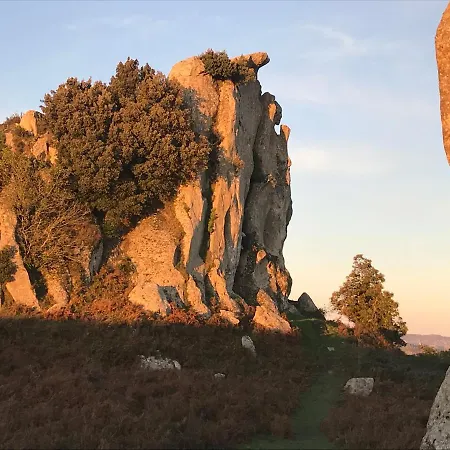 Сasa de vacaciones Domus Ligea